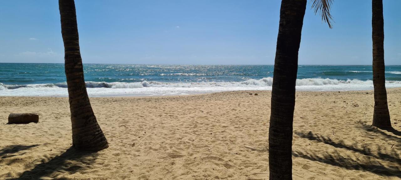 Trevily Porto Flats A 100M Da Praia Pôrto das Galinhas Buitenkant foto